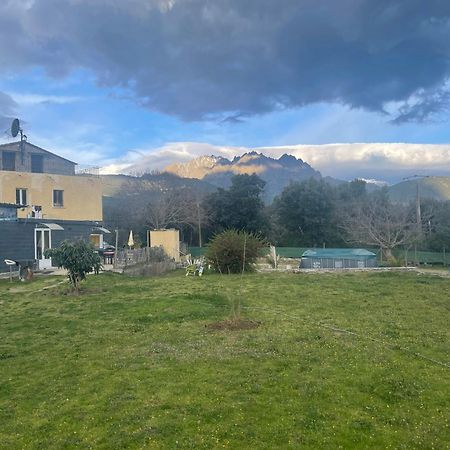 Le Coin Tranquille Morosaglia Exterior foto