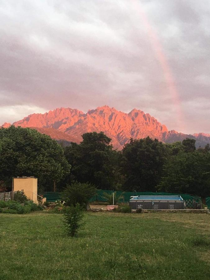 Le Coin Tranquille Morosaglia Exterior foto